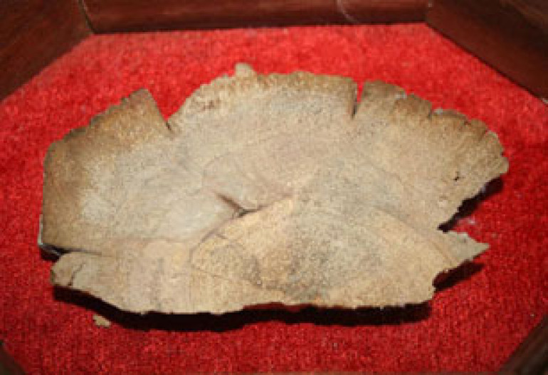 Cilicia Museum to house relic from Noah's Ark