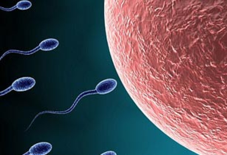 Scientists create artificial sperm to help infertile men