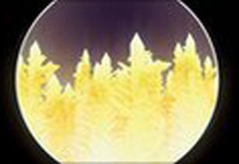 Japanese scientist finds crystals may be 'Earth's center'