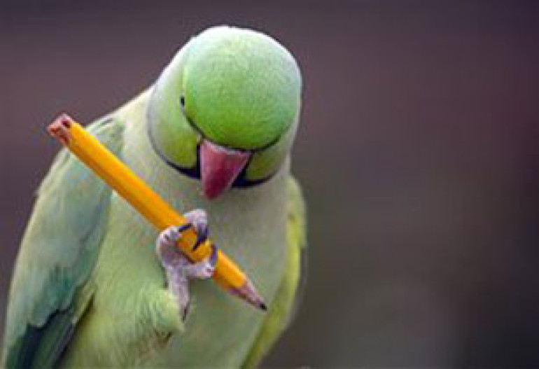 Study finds bird thumb is a finger