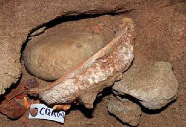 Ученые нашли доисторическую химическую лабораторию