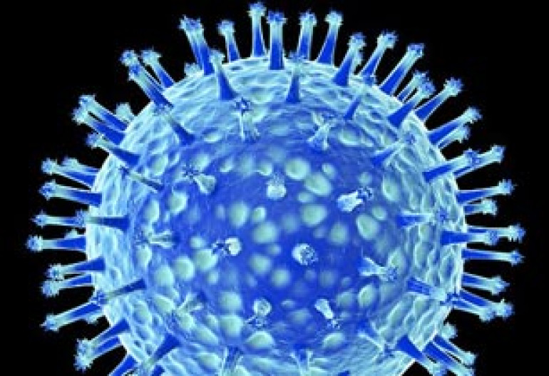 Secret behind deadly 'bird flu' out?