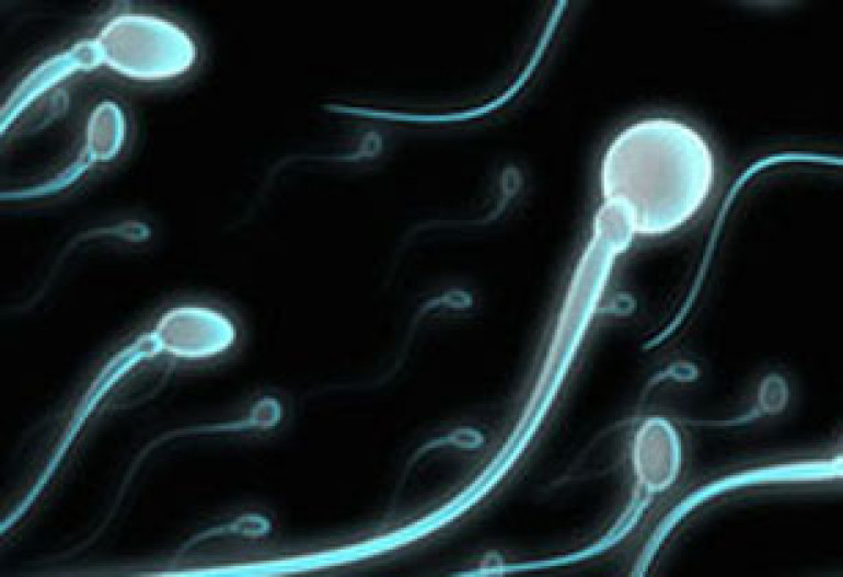 Ultrasound waves to stop sperm production