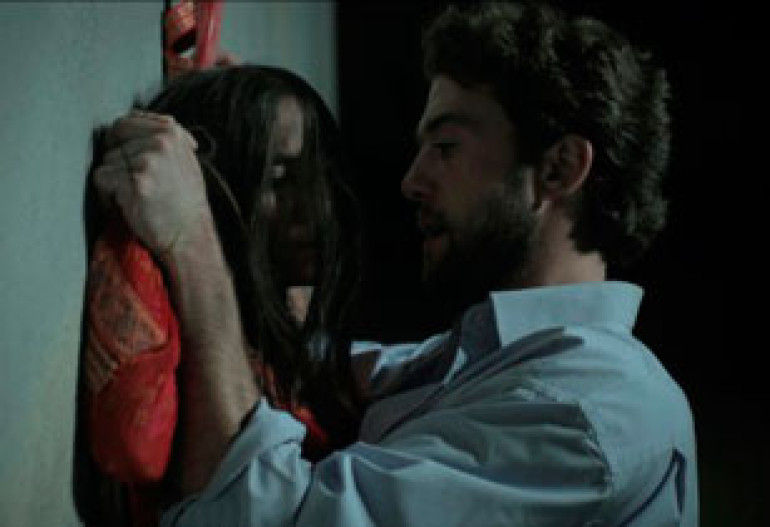 Ararat, German-Turkish film, screened in Berlin (photos)