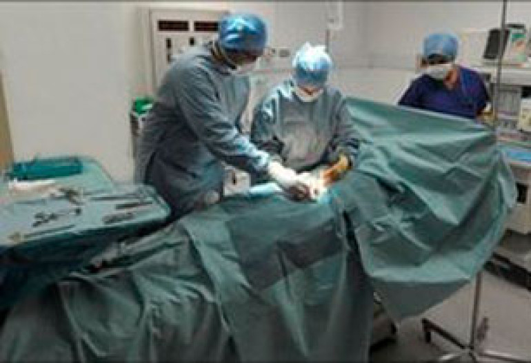 Stem cells to beat kidney rejection