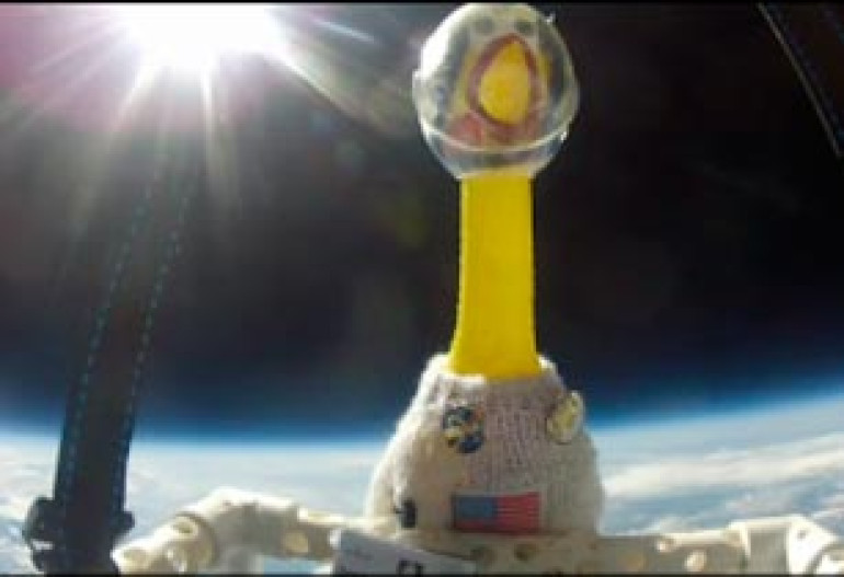 Rubber chicken sent into Earth's atmosphere by schoolchildren (video)