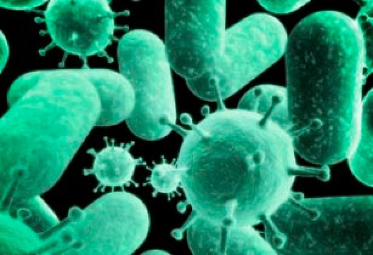 US researcher dies of bacteria he wanted to kill