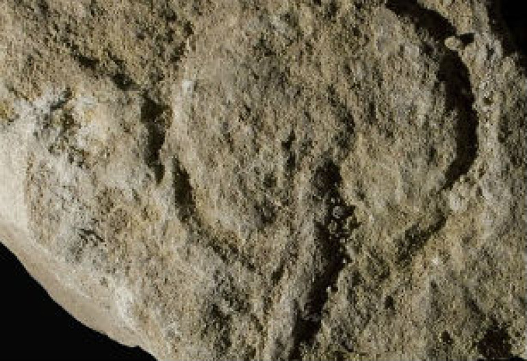 Oldest porn in history? Earliest ever limestone carvings dating back 37,000 years believed to depict female private parts 