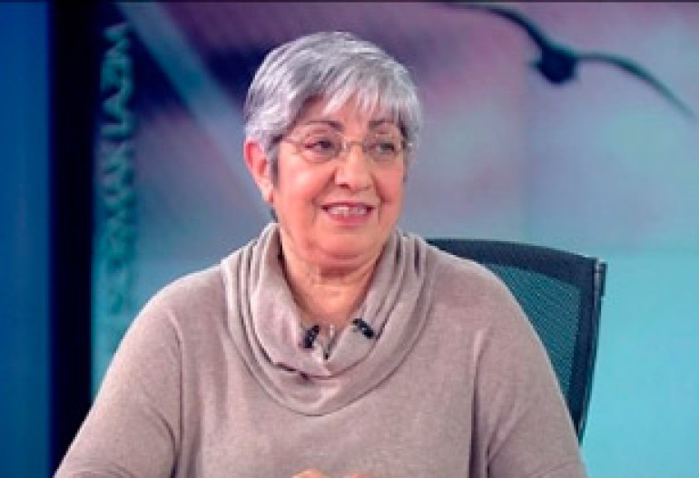 Адвокат Гранта Динка пригласила турецкого министра испить воды из родников села Хабап 