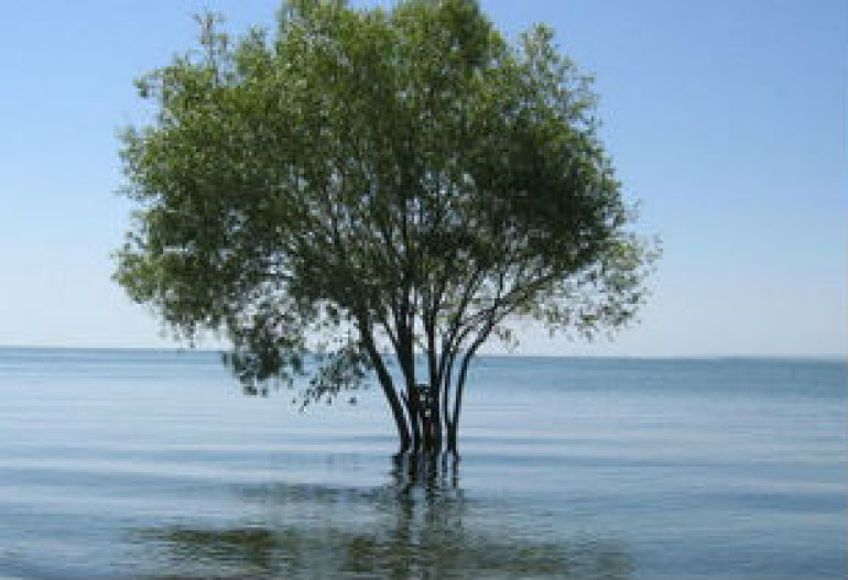 В парламенте Армении принят законопроект о выпуске воды из озера Севан