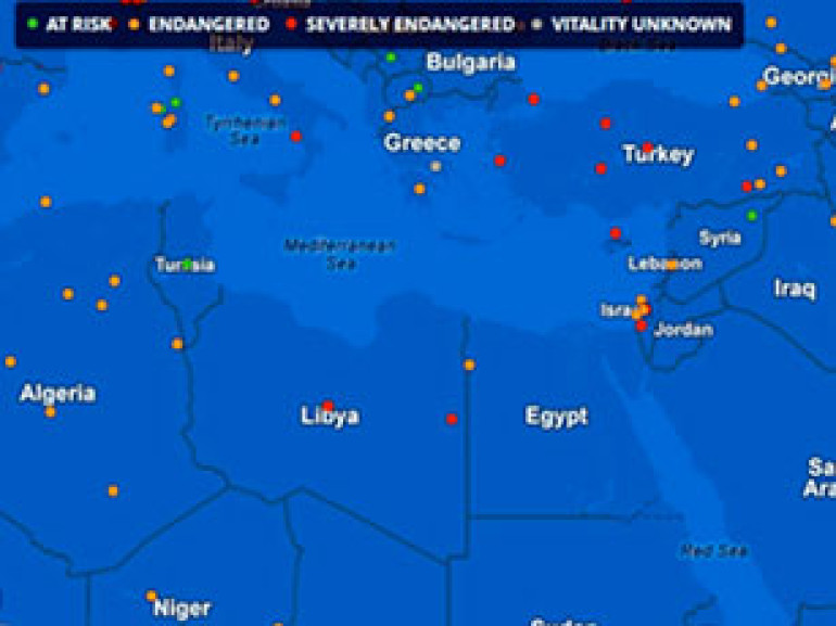 Google to rescue 3,000 endangered languages