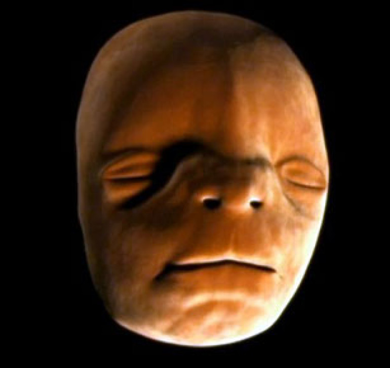 BBC video shows how baby’s features develop inside womb (video)