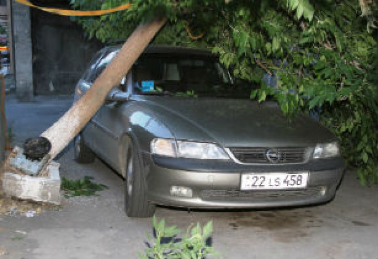 Вследствие сильного ветра в центре Еревана дерево упало на автомобиль марки Opel (фото) Вследствие сильного ветра в центре Еревана дерево упало на автомобиль марки Opel (фото)