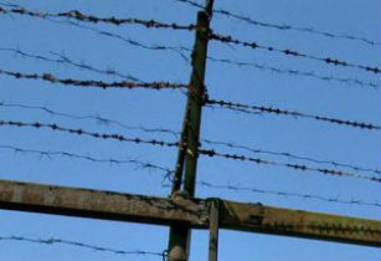 В Египте суд заочно приговорил депутата к тюремному сроку за разврат