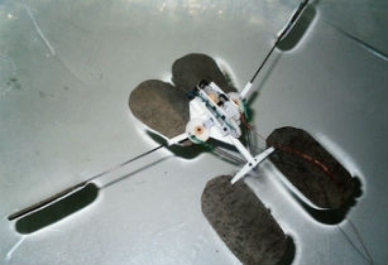 Scientists develop foot robot walking on water