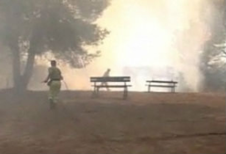 В Италии бушуют лесные пожары, огонь добрался до Рима