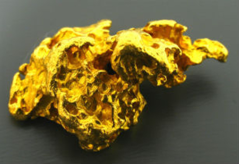 Bacterium producing pure gold unearthed
