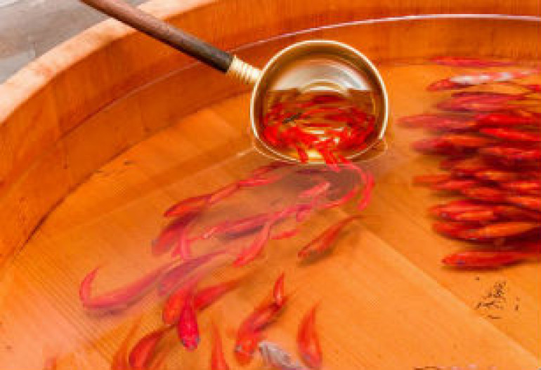 Japanese artist paints realistic 3-D aquarium fish (video)