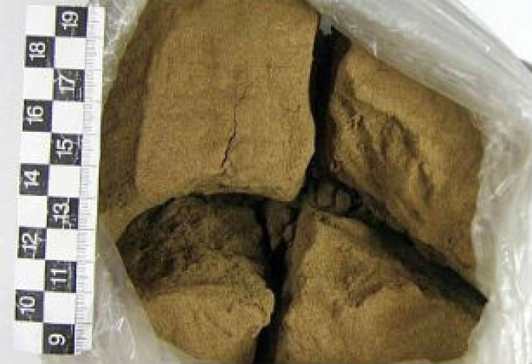 Организатором поставки 55 кг гашиша в Петербург оказался 55-летний уроженец Армении
