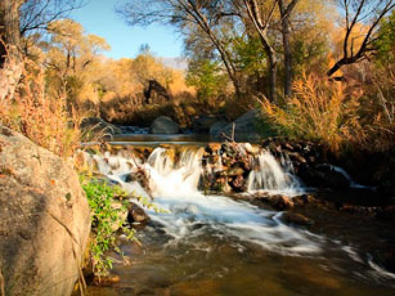  Caucasus Nature Fund и WWF прекращают финансирование Хосровского заповедника 