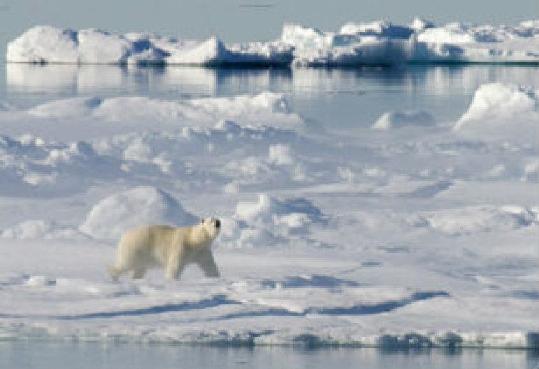 Greenland, Arctic ice melts faster than ever