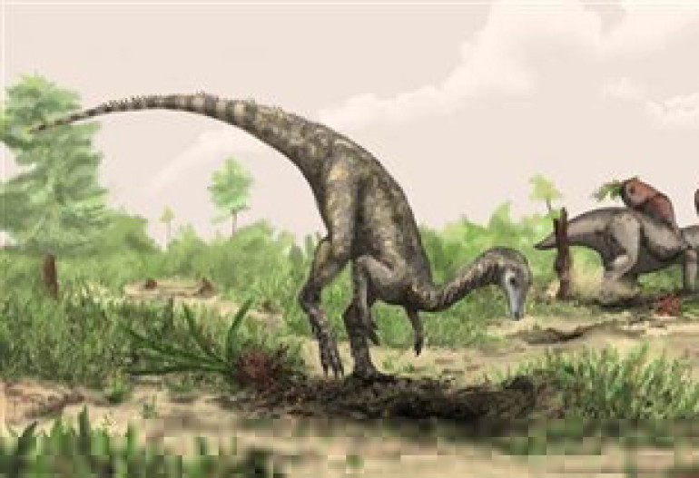 Earliest known dinosaur discovered