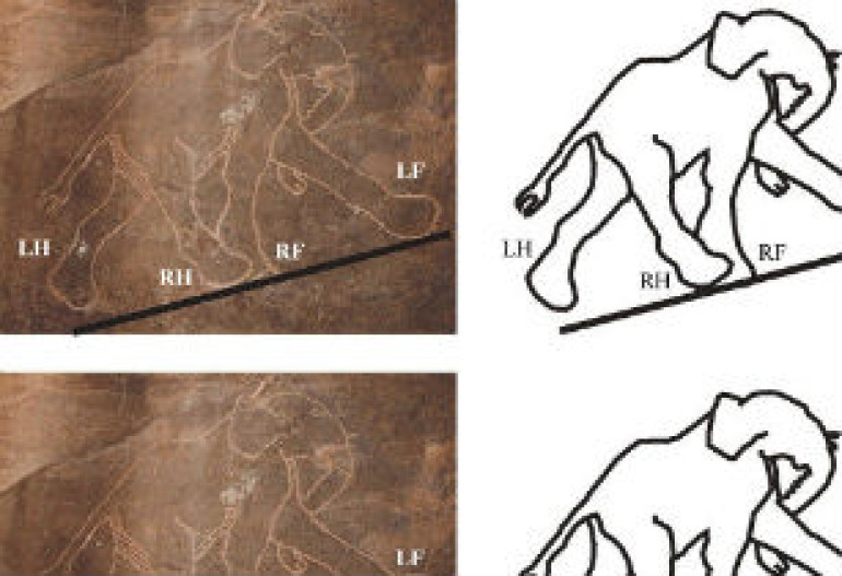 Древние люди лучше рисовали животных, чем современные художники