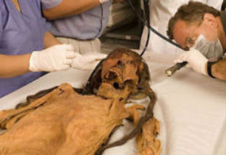 King Ramesses III's throat was slit, analysis reveals