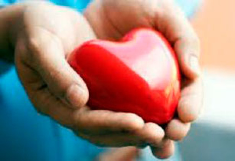 Cardiovascular diseases up in Armenia - doctor