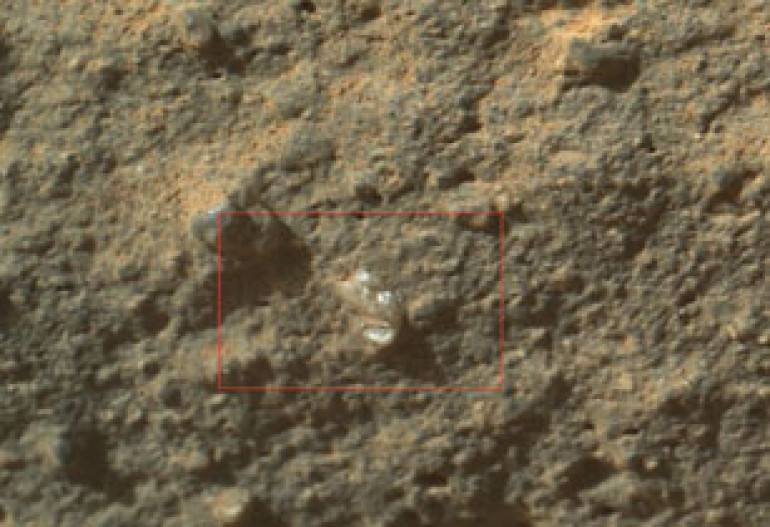 NASA’s Curiosity rover finds ‘flower’ on surface of Mars