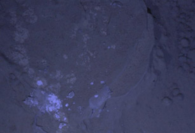 Curiosity Rover snaps 1st photos of Mars at night