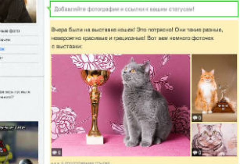 Статусы в «Одноклассниках» стали мультимедийными