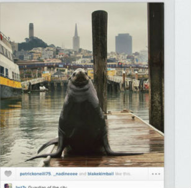 Лента обновлений Instagram «переехала» в браузер