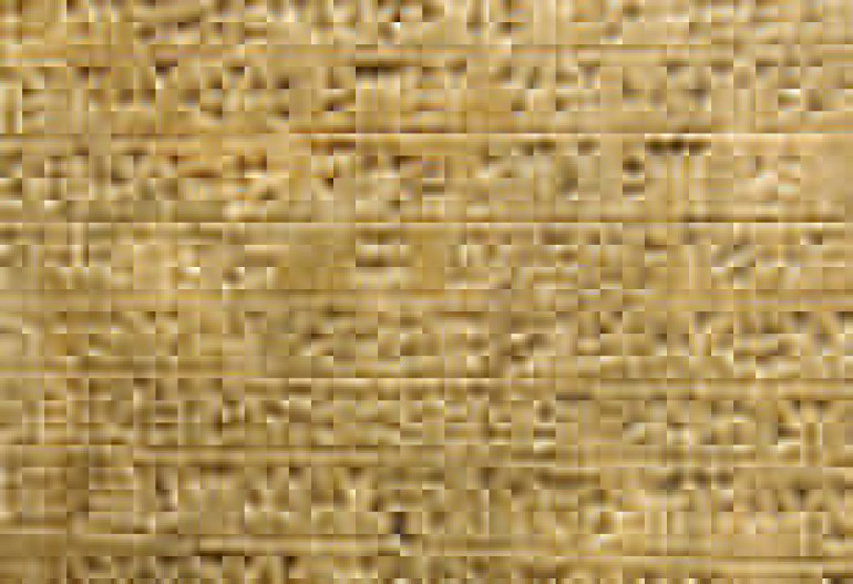 Ancient languages reconstructed by computer program