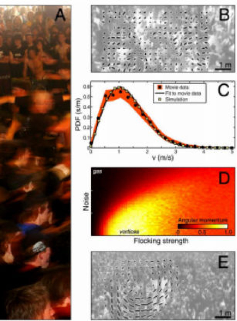 Moshers’ behavior at heavy metal concerts similar to disordered 2D gas