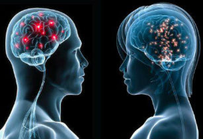 Women really do have smaller brains... but they use them more efficiently than men