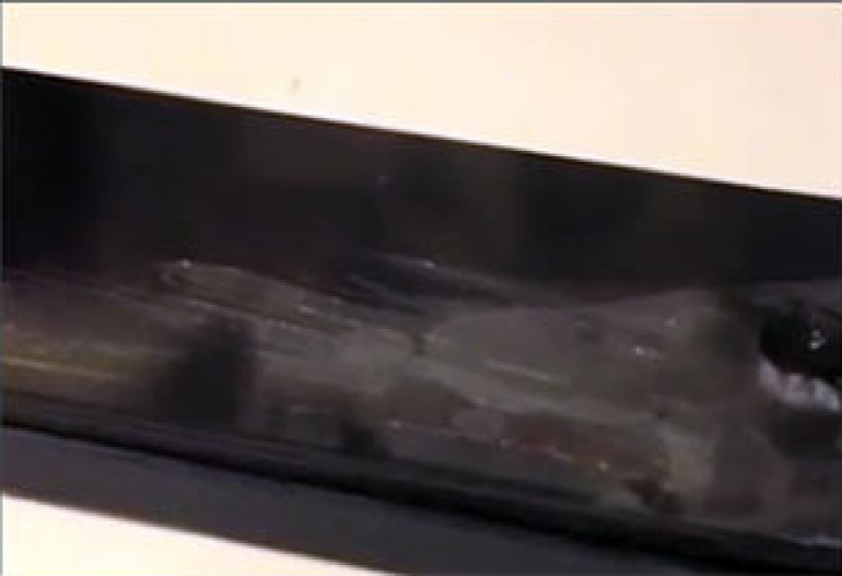 Зафиксирован первый случай взрыва нового iPhone 5