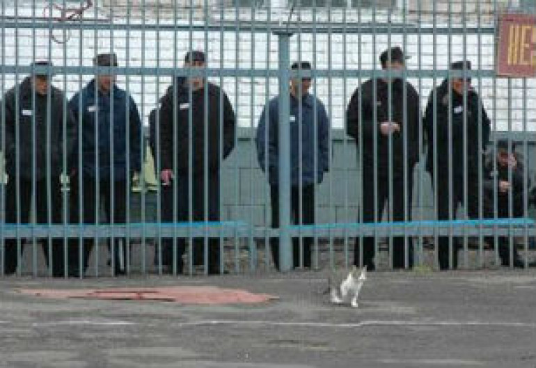 В камчатской колонии произошла массовая драка