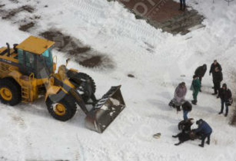 Жертва уборки: в Киеве женщина погибла в результате наезда снегоуборочной техники