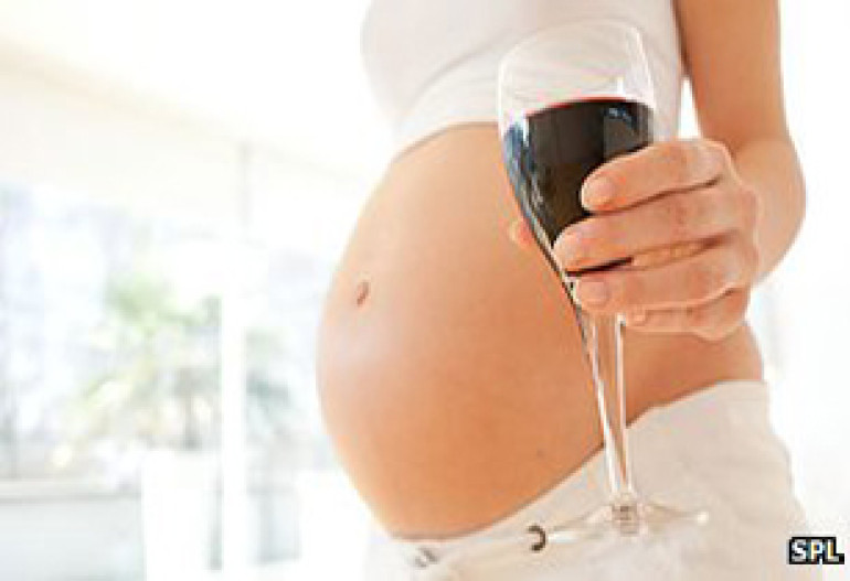 Light drinking 'not harmful to baby' say scientists