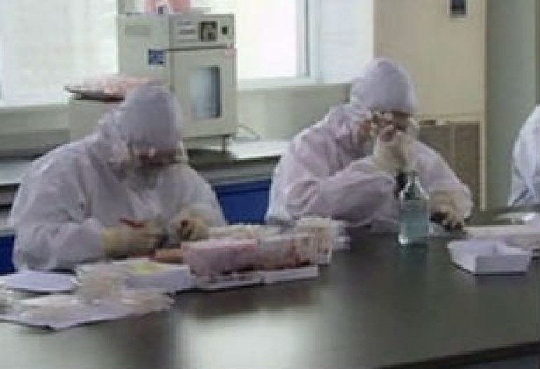С птичьим гриппом в Китае будут бороться французские ученые