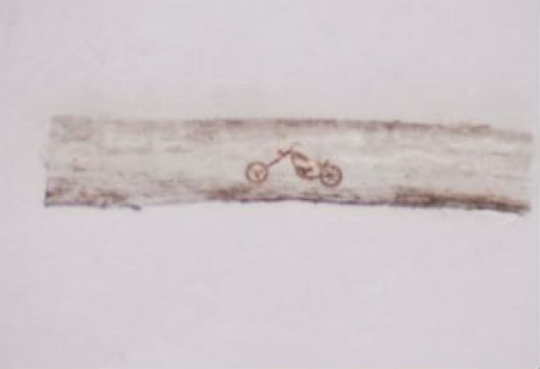 World’s smallest ever work created on hair stubble (video)