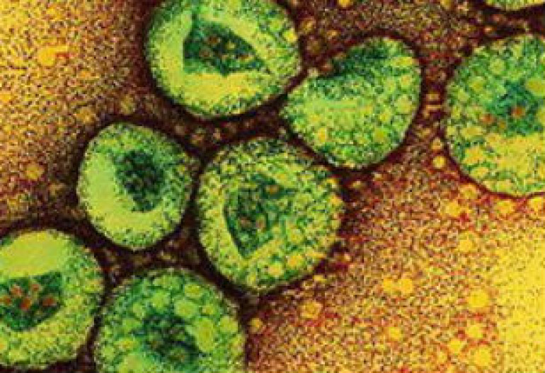 WHO warns of new deadly virus