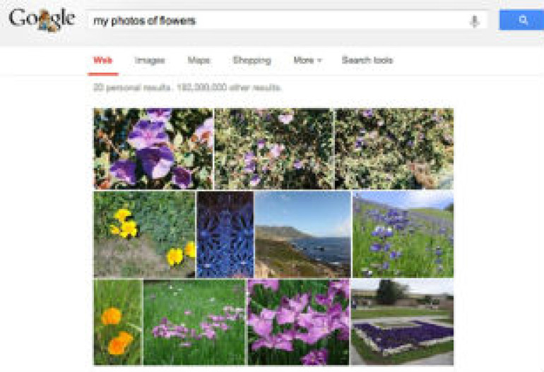 Google+ սոցկայքը նկարներում կճանաչի «ուտելիքը» և «ծաղիկները» 