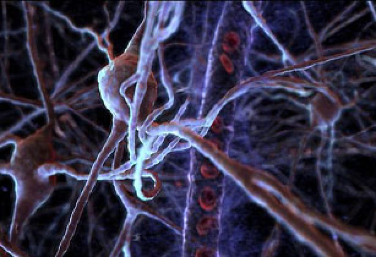 Why developing more brain cells can means we forget the early days of our childhood