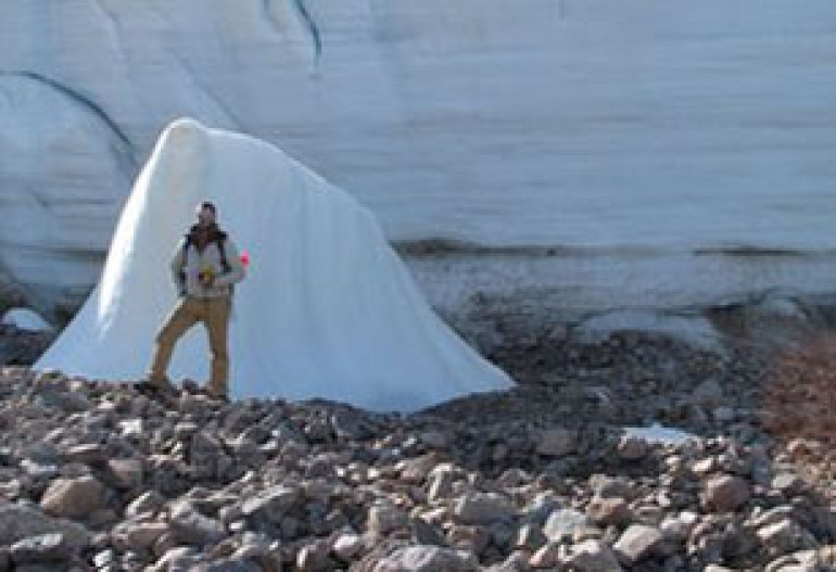 Centuries-old frozen plants revived