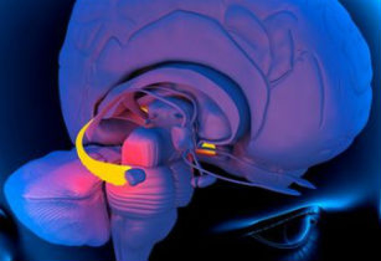 Arc protein 'could be key to memory loss' - study