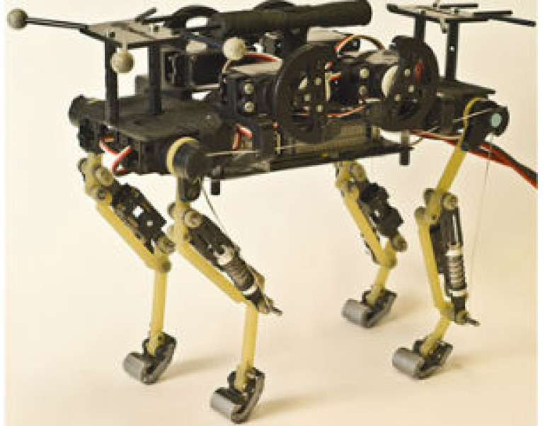 Swiss scientist develop web robot (video)