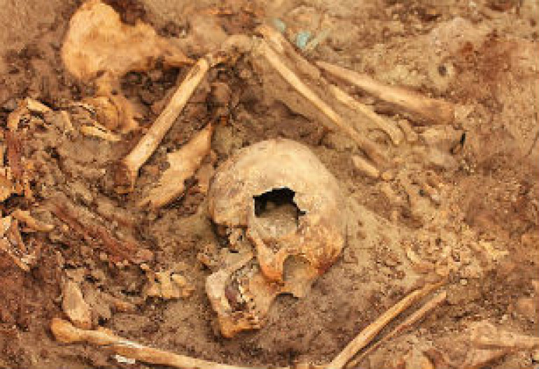 Archaeologists uncover unlooted Peruvian royal tombs (video)