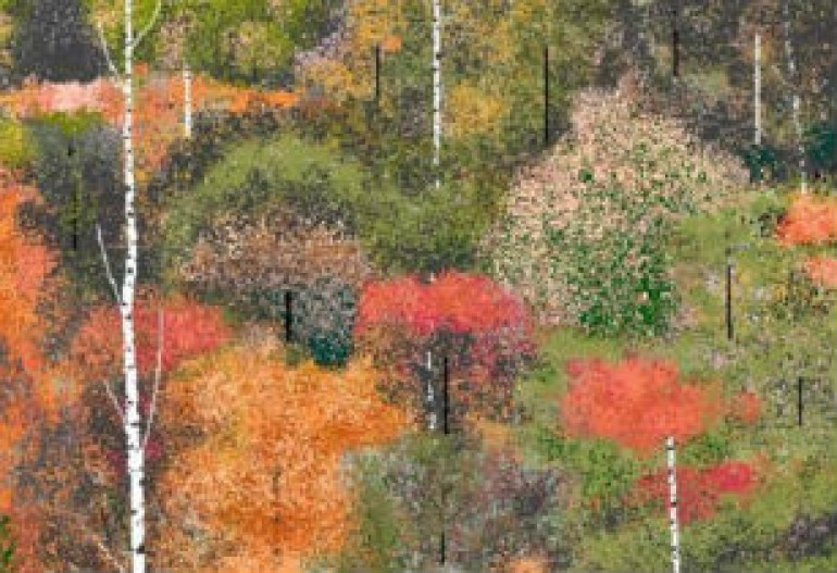 Partially blind pixel painter creates masterpieces with Microsoft Paint (photos, video)
